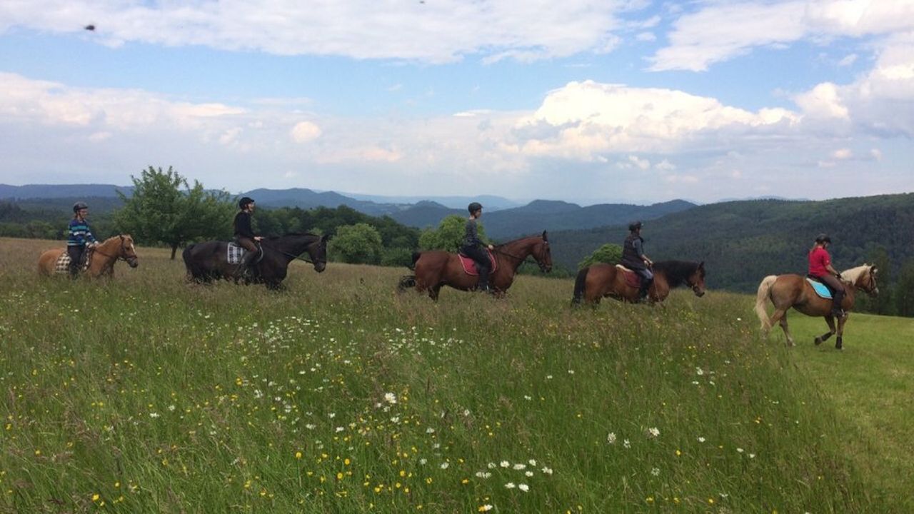 Ausreiten im Sommer Ausreiten im Sommer